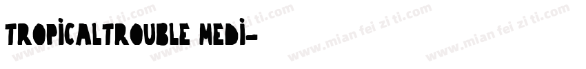 TropicalTrouble Medi字体转换